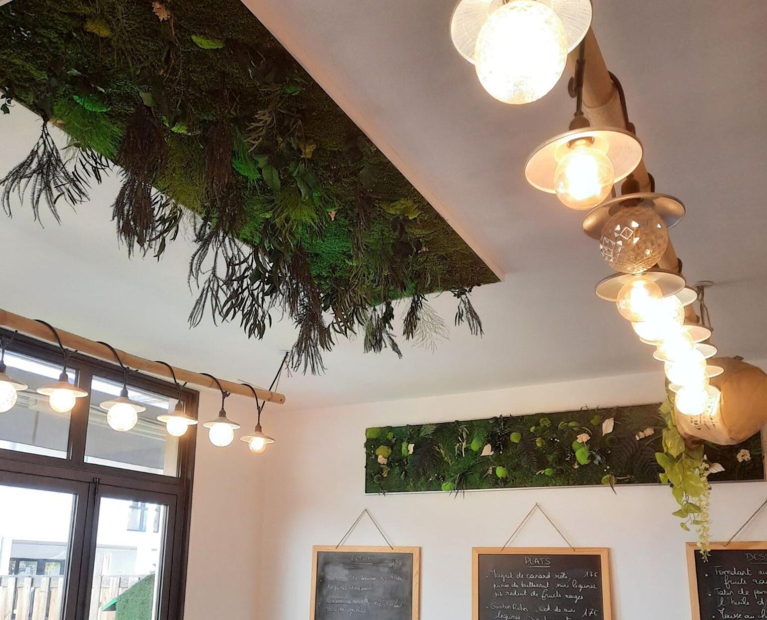 Végétal Stabilisé | Plante Stabilisée | Atelier Écrin Végétal à Bouc