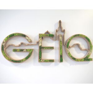 exemples-realisations-mur-logo-tableau-vegetal-ecrin-vegetal-geiq-peps-3