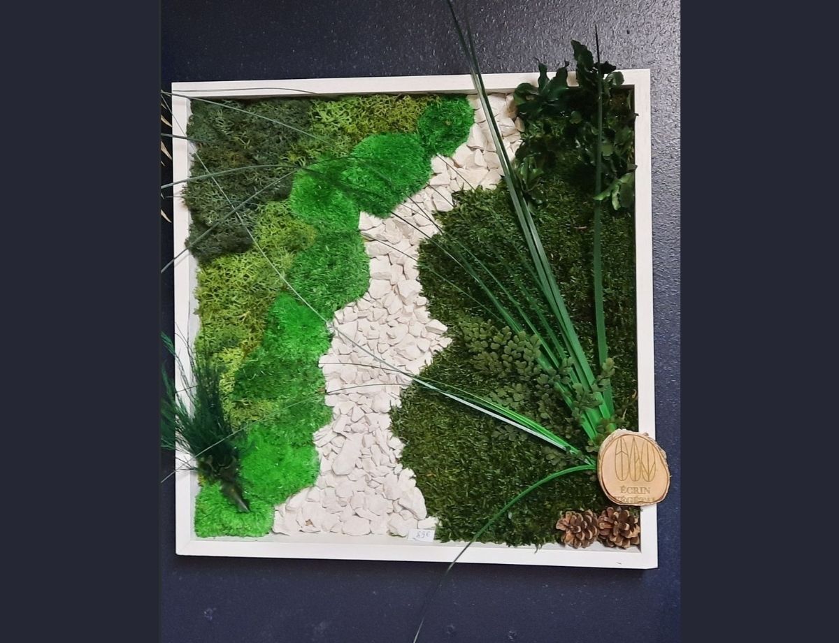 tableau-vegetal-stabilise-tableaux-vegetaux-stabilisés-creation-ecrin-vegetal-aix-en-provence