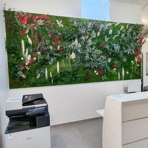 MUR ECRIN VEGETAL EXELIO COMPTABLE BOUC BEL AIR