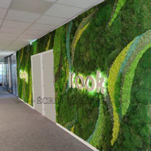MUR ECRIN VEGETAL GARIG KOOK AIX LA DURANNE