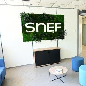 tableau-ecrin-vegetal-aix-les-milles-snef-1