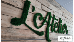 LOGO-VEGETAL-ECRIN-VEGETAL-ATELIER