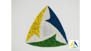 LOGO-VEGETAL-ECRIN-VEGETAL-BRONZO-PERASSO