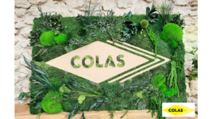 LOGO-VEGETAL-ECRIN-VEGETAL-COLAS