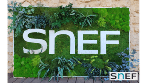 LOGO VEGETAL ECRIN VEGETAL SNEF