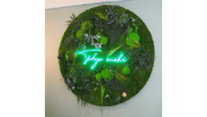 LOGO-VEGETAL-ECRIN-VEGETAL-TOKYO-SUSHI