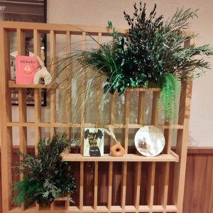 ECRIN-VEGETAL-MERCURE-CDG