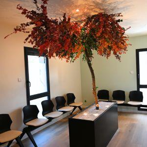 ECRIN-VEGETAL-SANTESPACE-BOUC-BEL-AIR