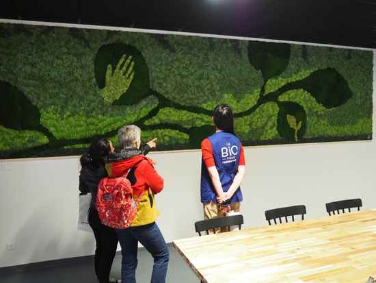 creation-ecrin-vegetal-mur-vegetal-lichen-stabilise-architecte-interieur-biocoop-paca