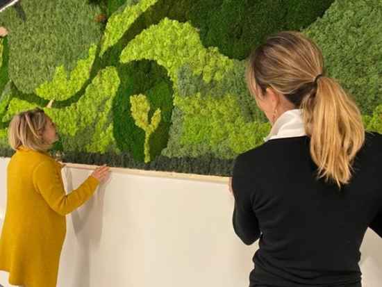 creation-ecrin-vegetal-mur-vegetal-architecte-interieur-biocoop-paca