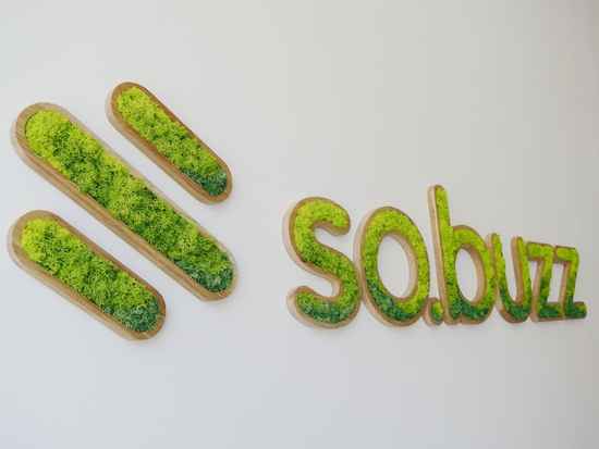logo-vegetal-bois-ecrin-vegetal-marseille-enseigne-vegetale