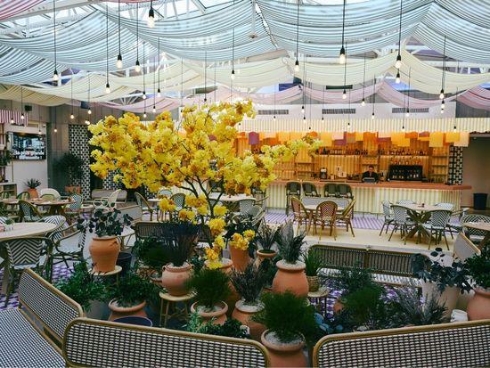 ecrin-vegetal-hotel-novotel-nimes-scenographie-vegetale PACA