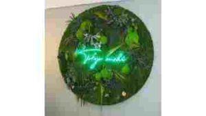 ecrin-vegetal-logo-commerce-tokyo-sushi-salon-de-provence
