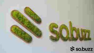 ecrin-vegetal-logo-eentreprise-sobuzz-aix-en-provence