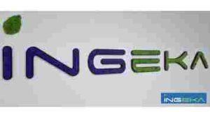 ecrin-vegetal-logo-entreprise-ingeka-aix-en-provence