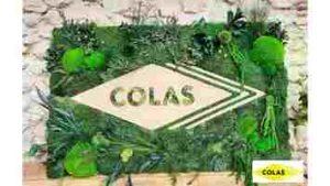 ecrin-vegetal-tableau-entreprise-colas-aix-en-provence