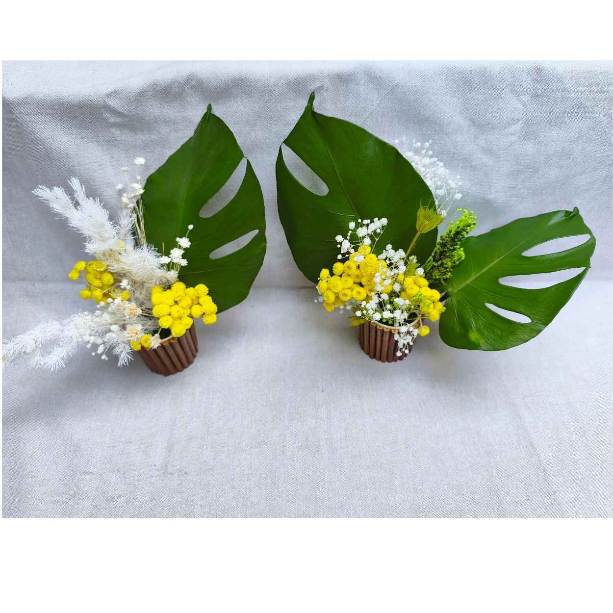 pot sarments immortelles et monstera (2)