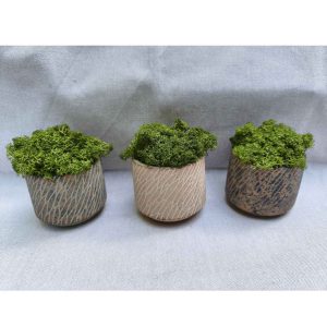 Pot bronze avec lichen stabilisé