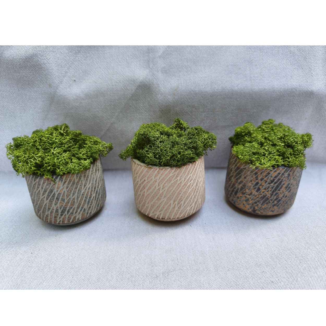 pot bronze avec lichen