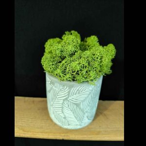 Pot gris motif feuillage avec lichen stabilisé