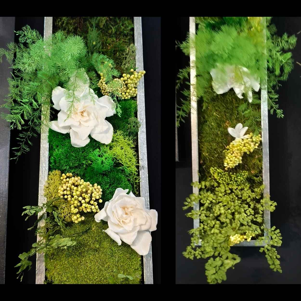 tableau-écrin-végétal-gardénia-stabilisé
