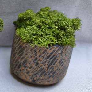 Pot bronze avec lichen stabilisé