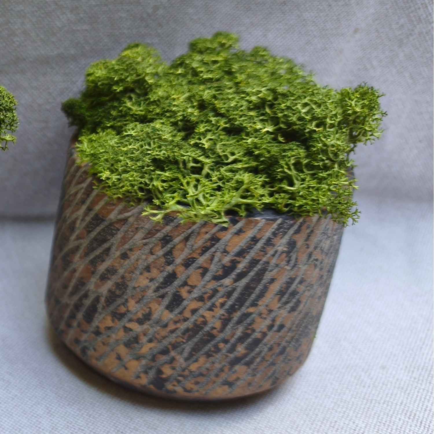 pot-bronze-lichen