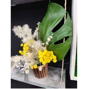 Pot sarments et immortelle et monstera