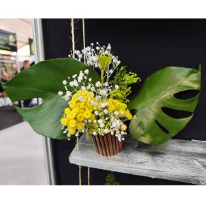 Pot sarments et immortelle et monstera (Copie)