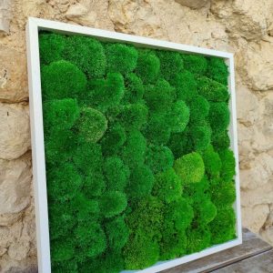 TABLEAU MINI MOUSSES BOULES STABILISEES
