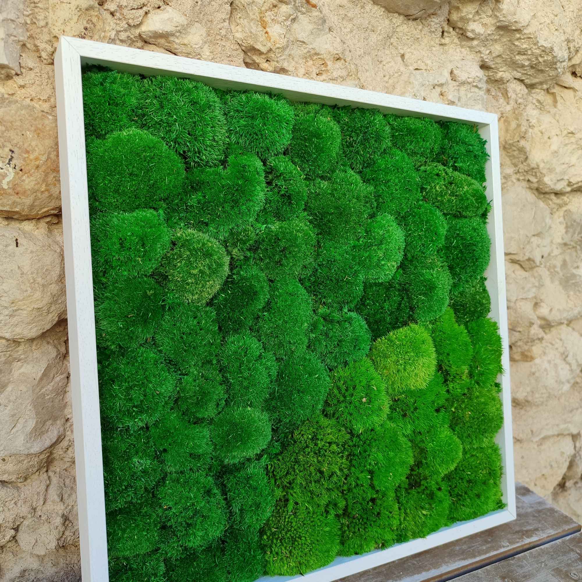 tableau-vue-face-mini-boule-mousse-stabilise-ECRIN-VEGETAL-2